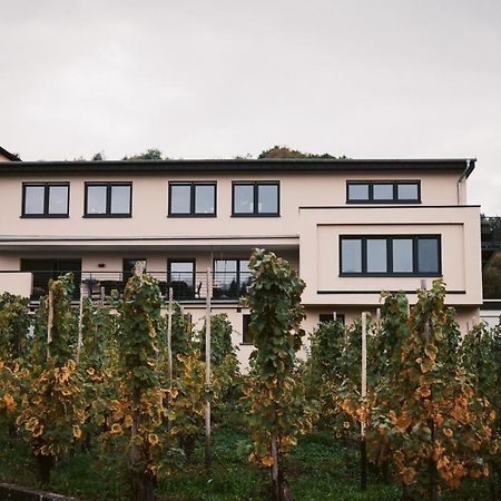 Apartament Weingut Meurer Reil Zewnętrze zdjęcie